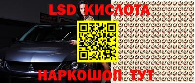 jwh Камышлов