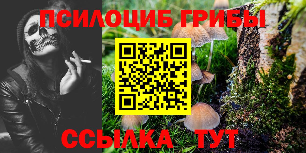 Галлюциногенные грибы Psilocybine cubensis Ялуторовск