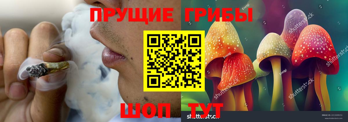 Галлюциногенные грибы Psilocybine cubensis  Вход с VPN  купить закладку  Псилоцибиновые грибы GOLDEN TEACHER  Ялуторовск 